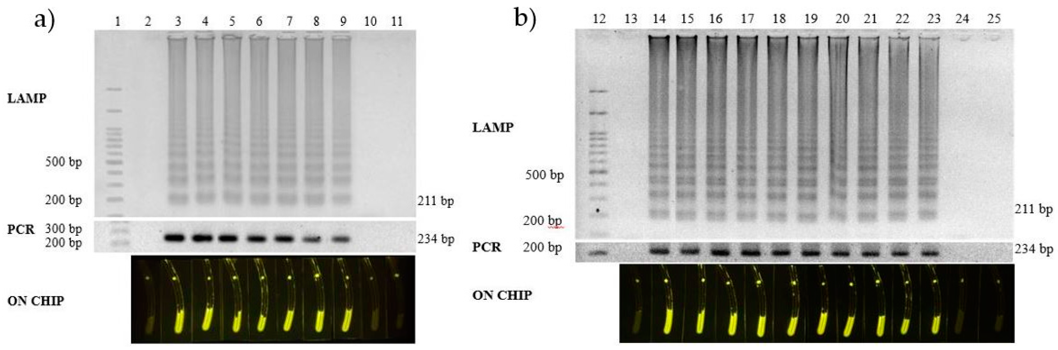 Biosensors 07 00056 g004