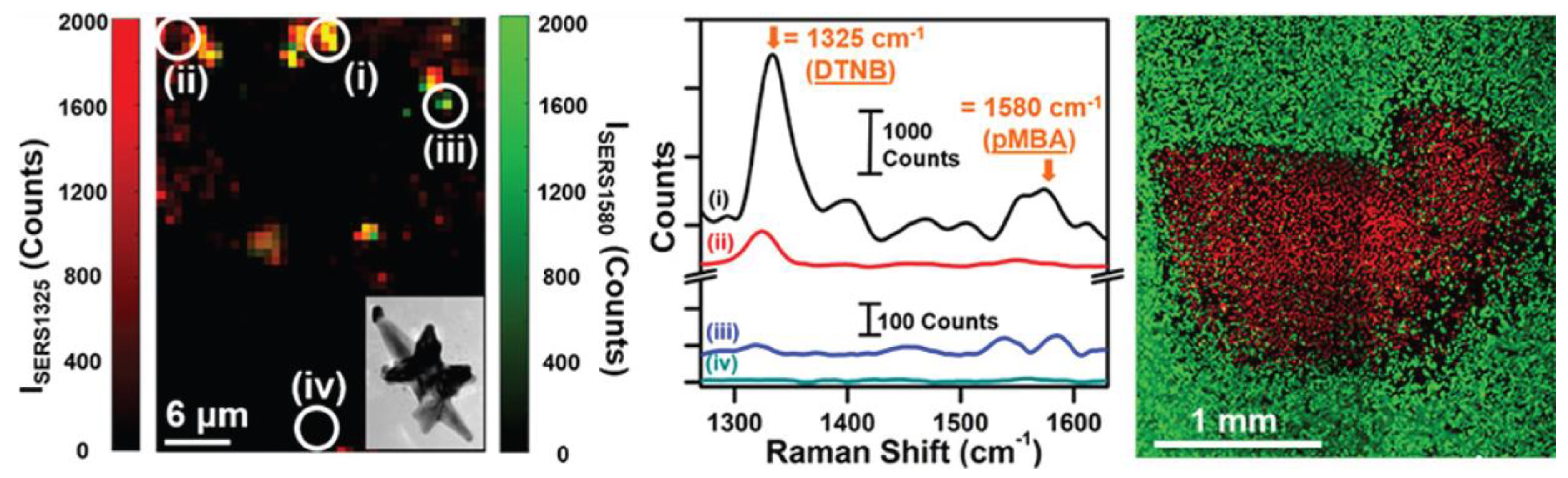 Biosensors 08 00046 g005