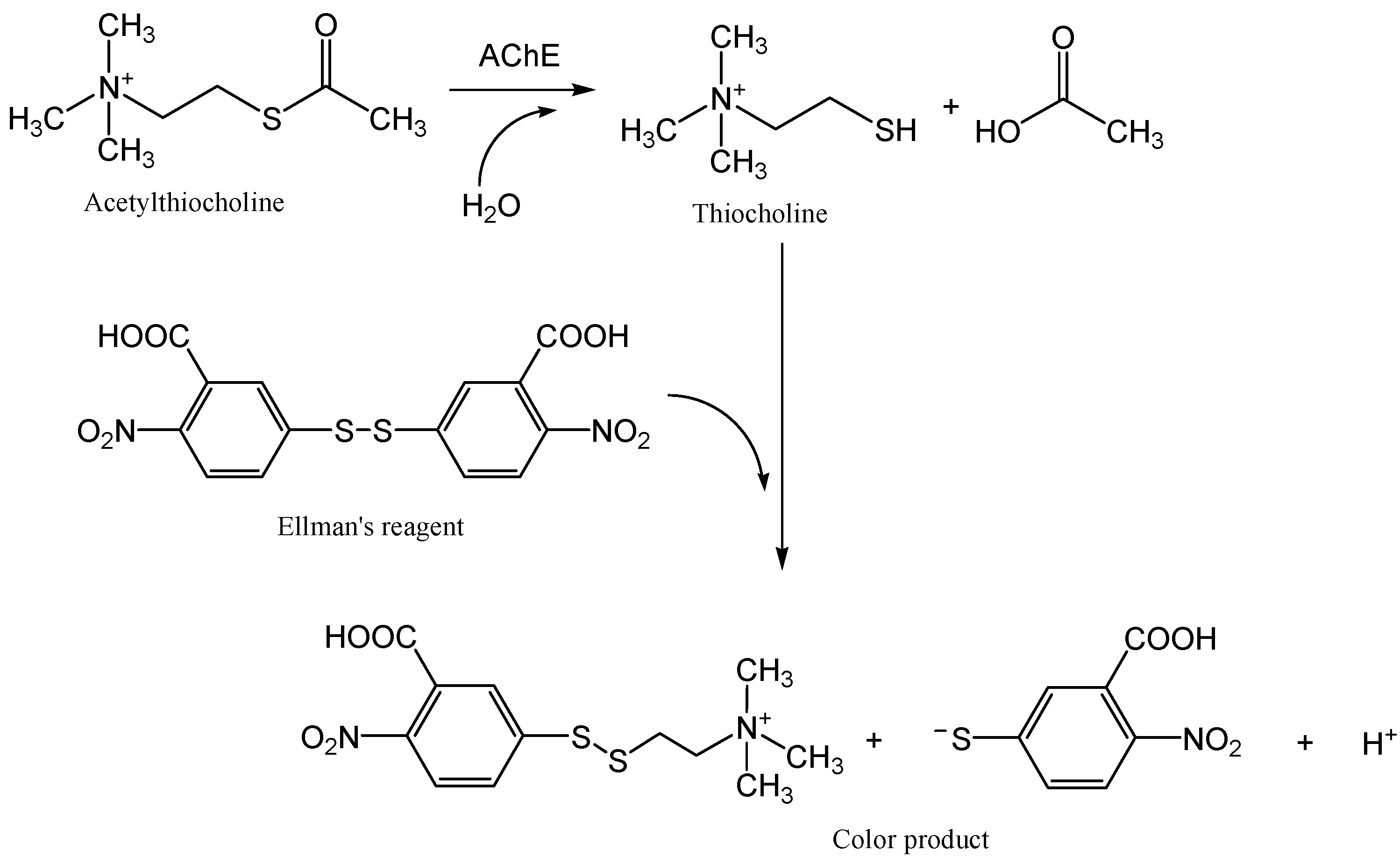 Biosensors 08 00051 g002