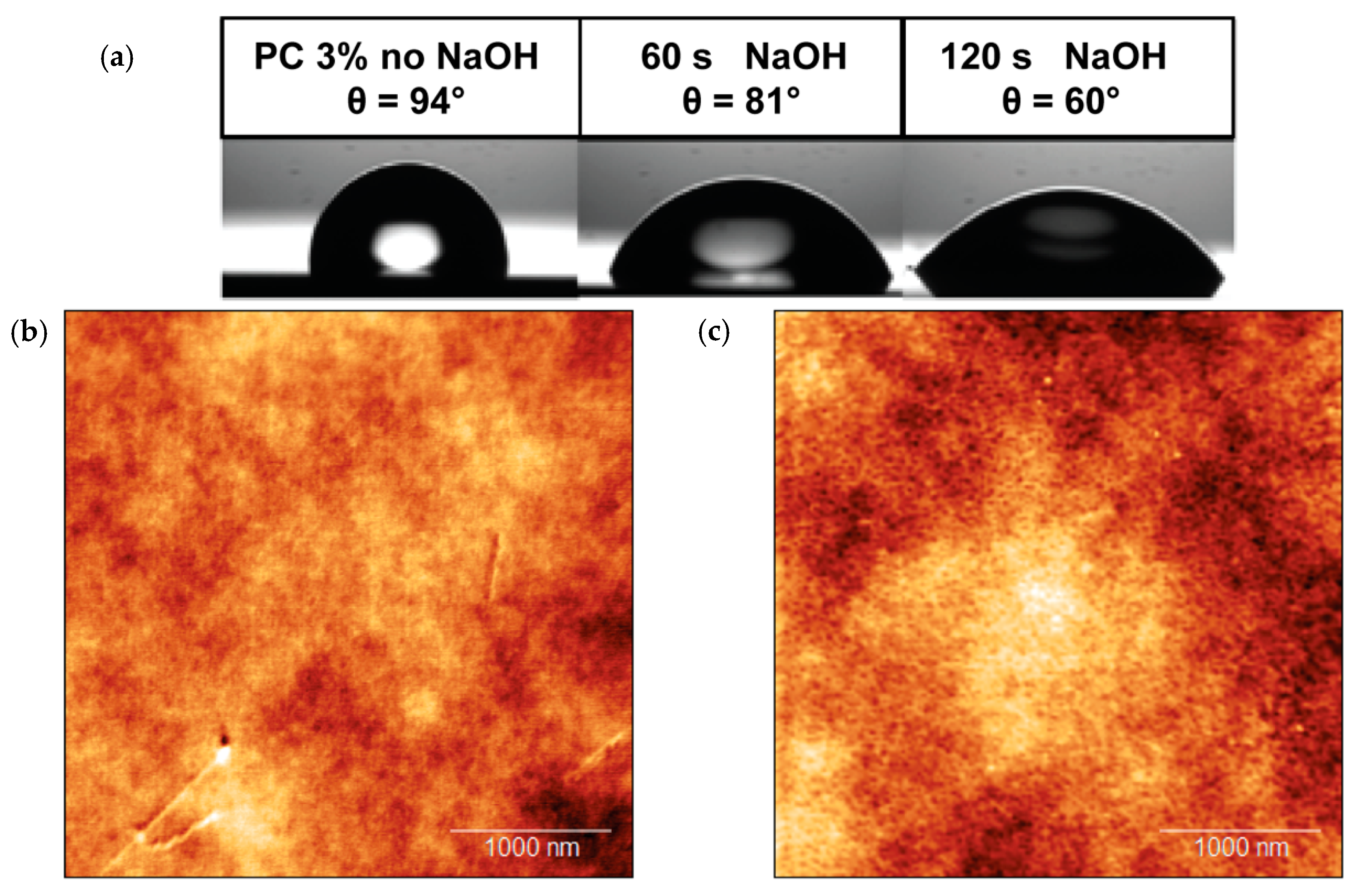 Biosensors 10 00090 g003