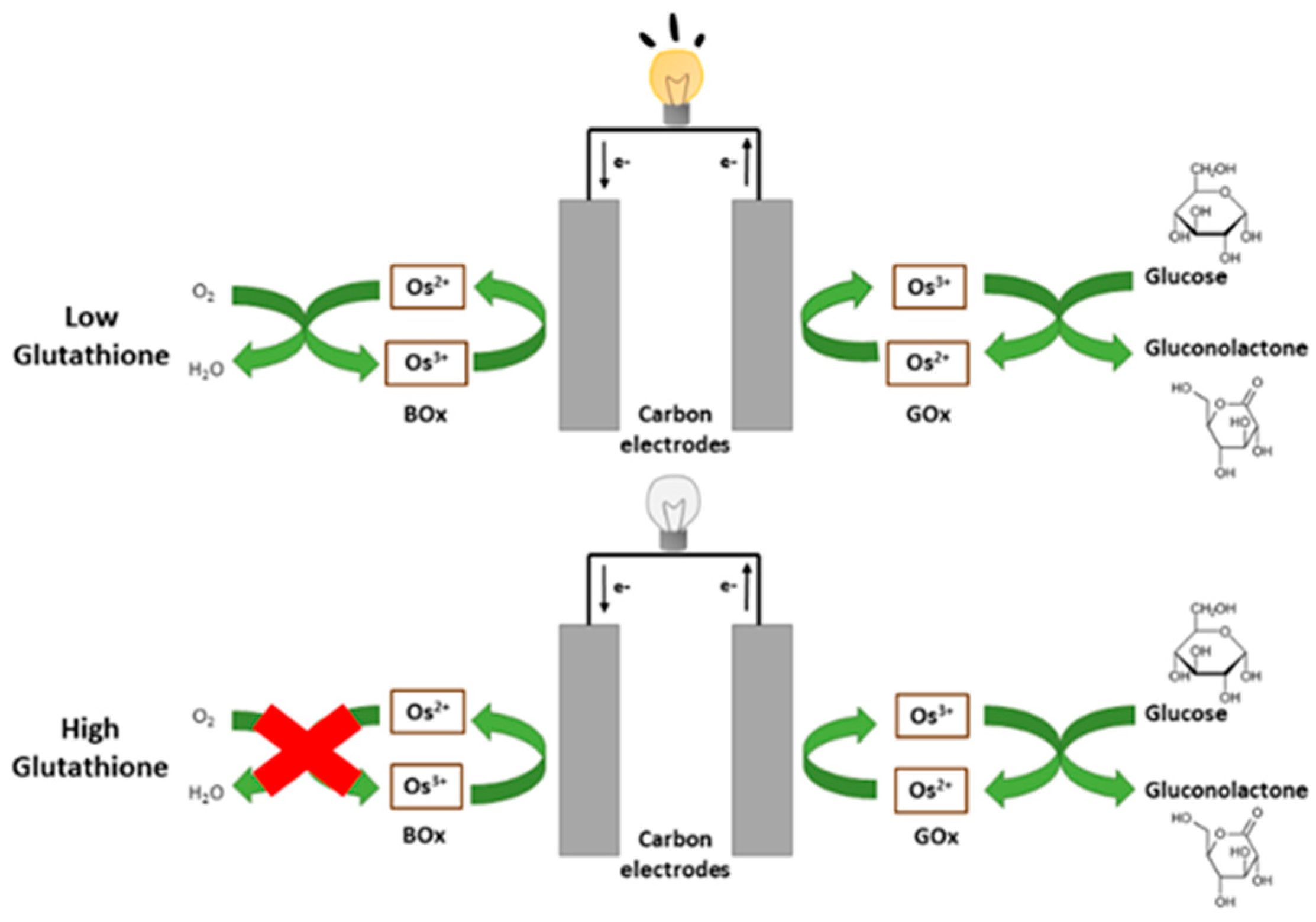 Biosensors 10 00114 g001