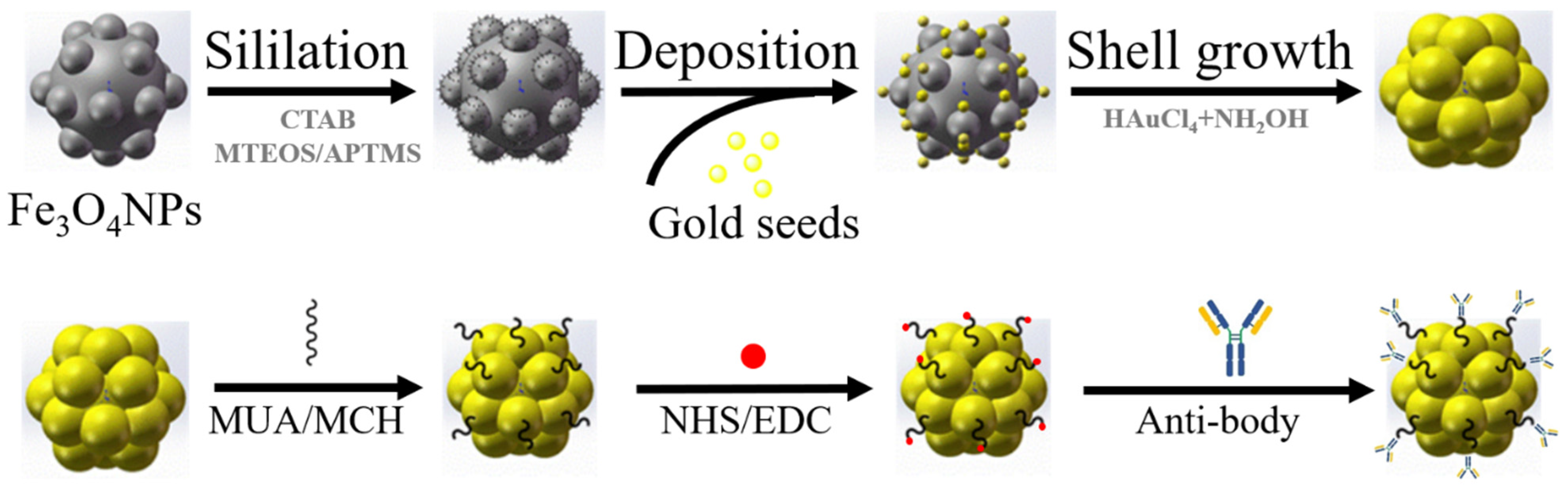 Biosensors 11 00183 g002