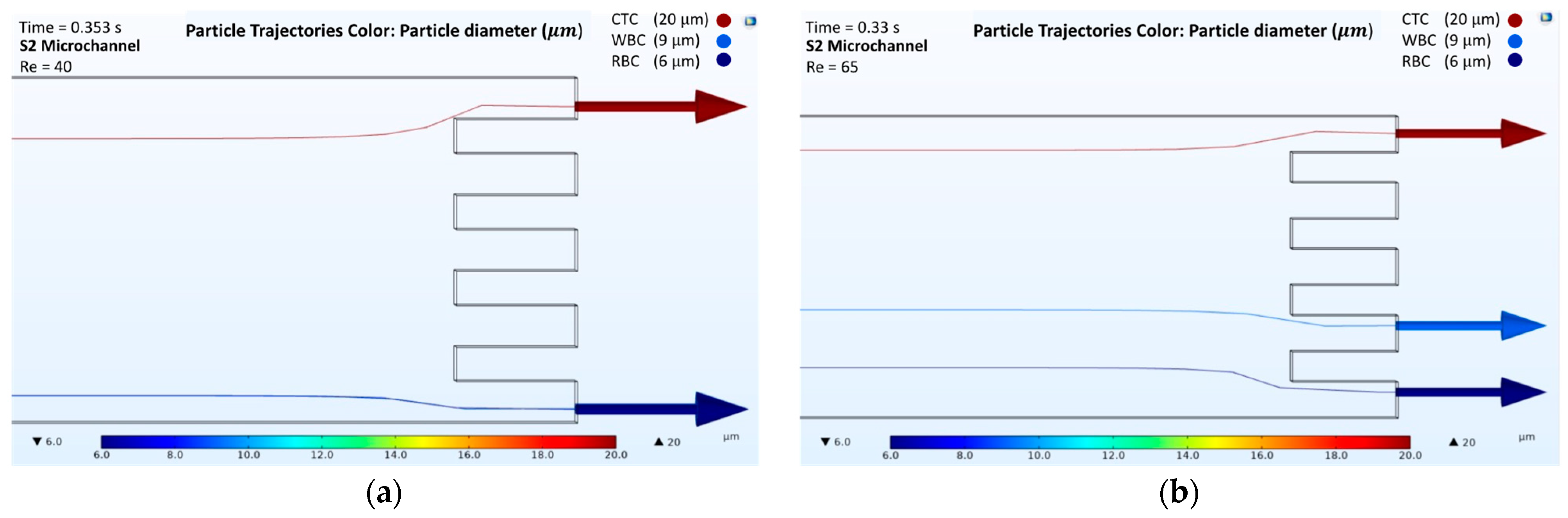 Biosensors 12 00171 g004