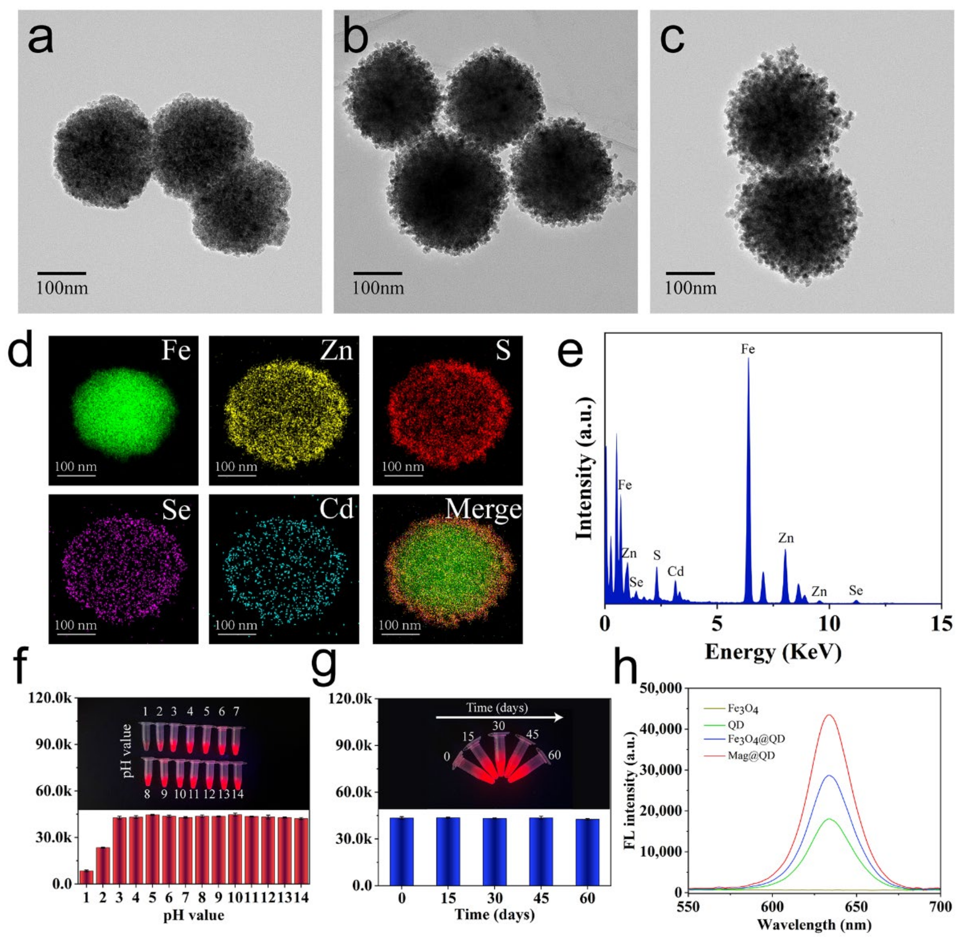 Biosensors 12 00942 g001