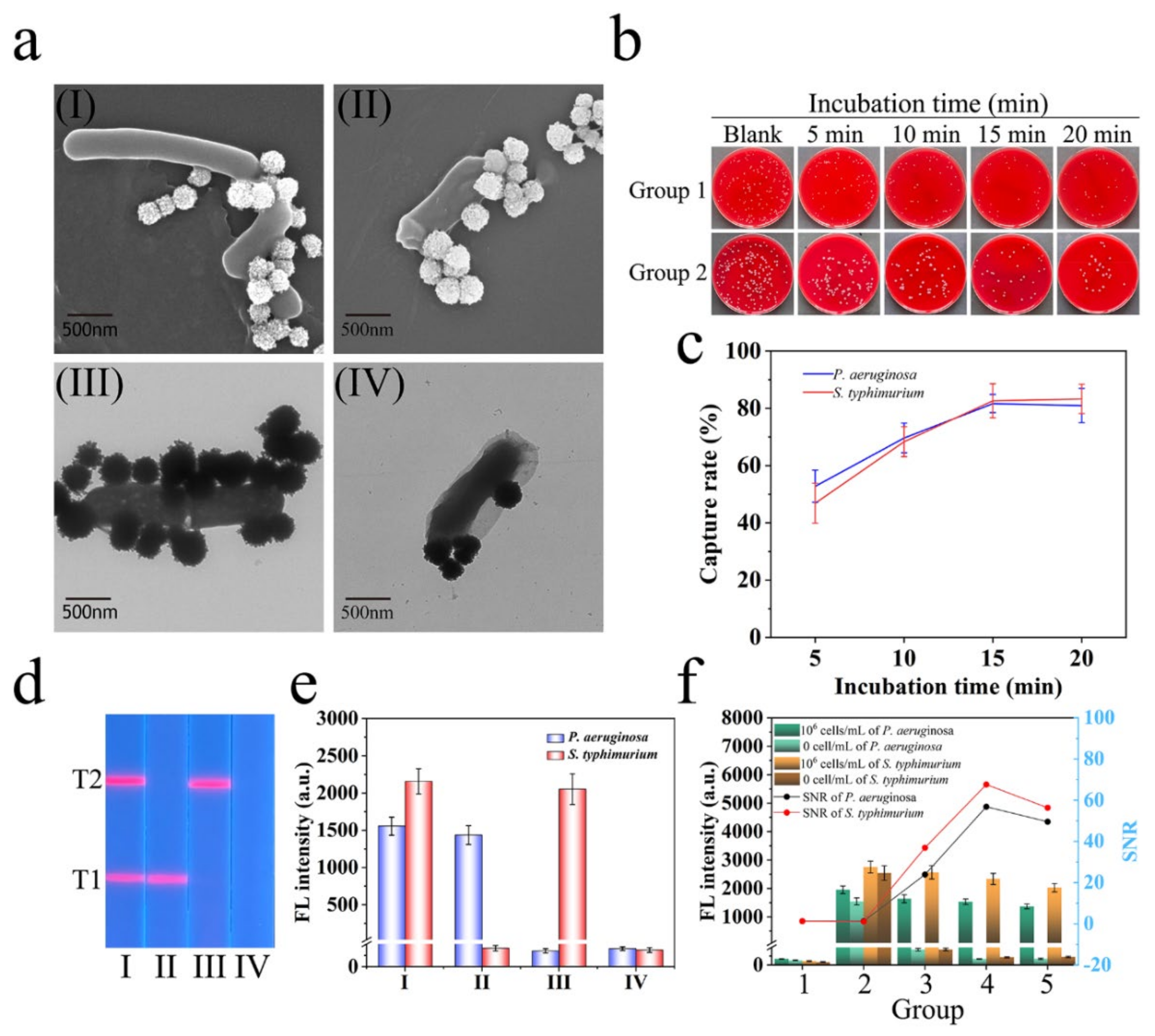 Biosensors 12 00942 g002
