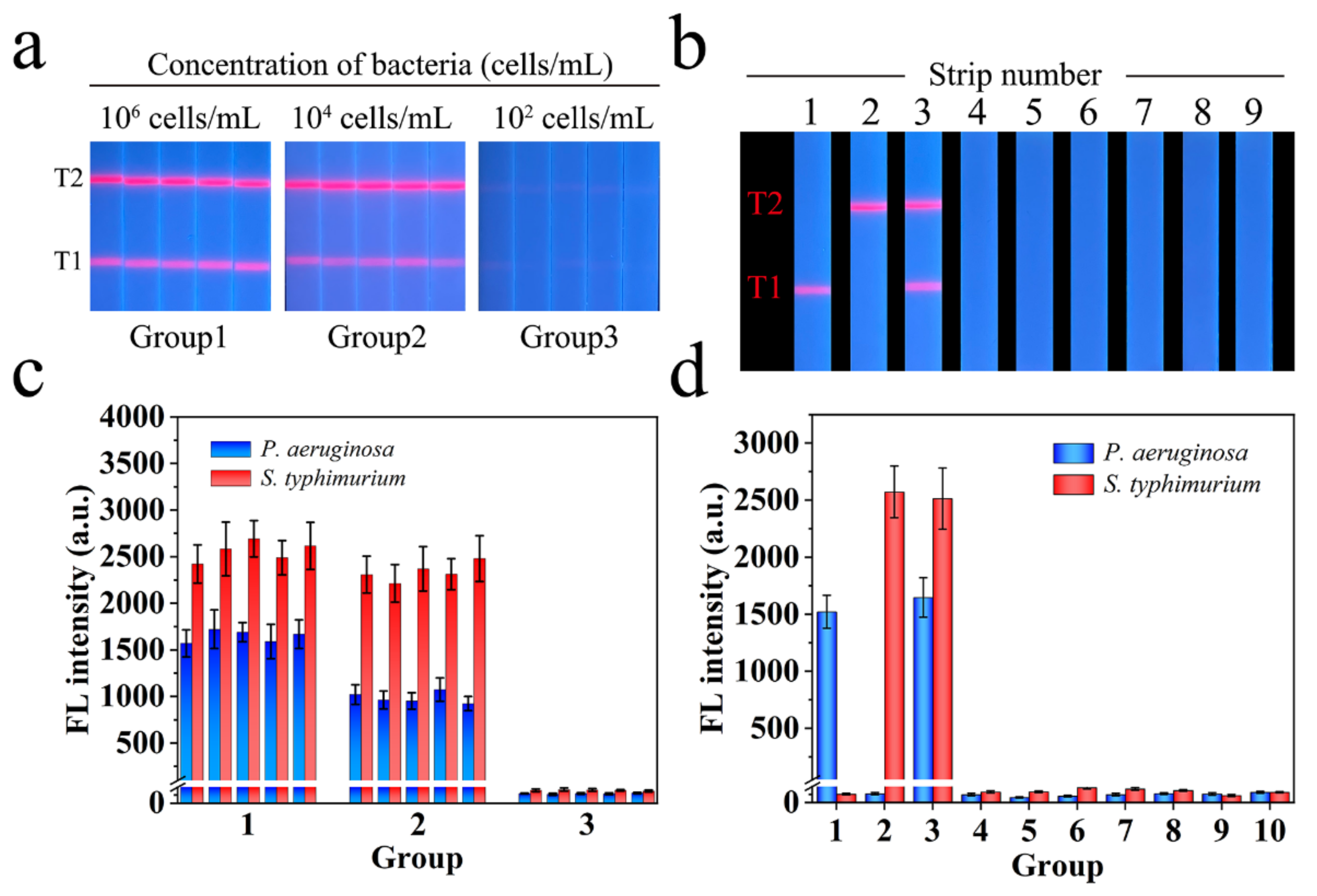 Biosensors 12 00942 g005