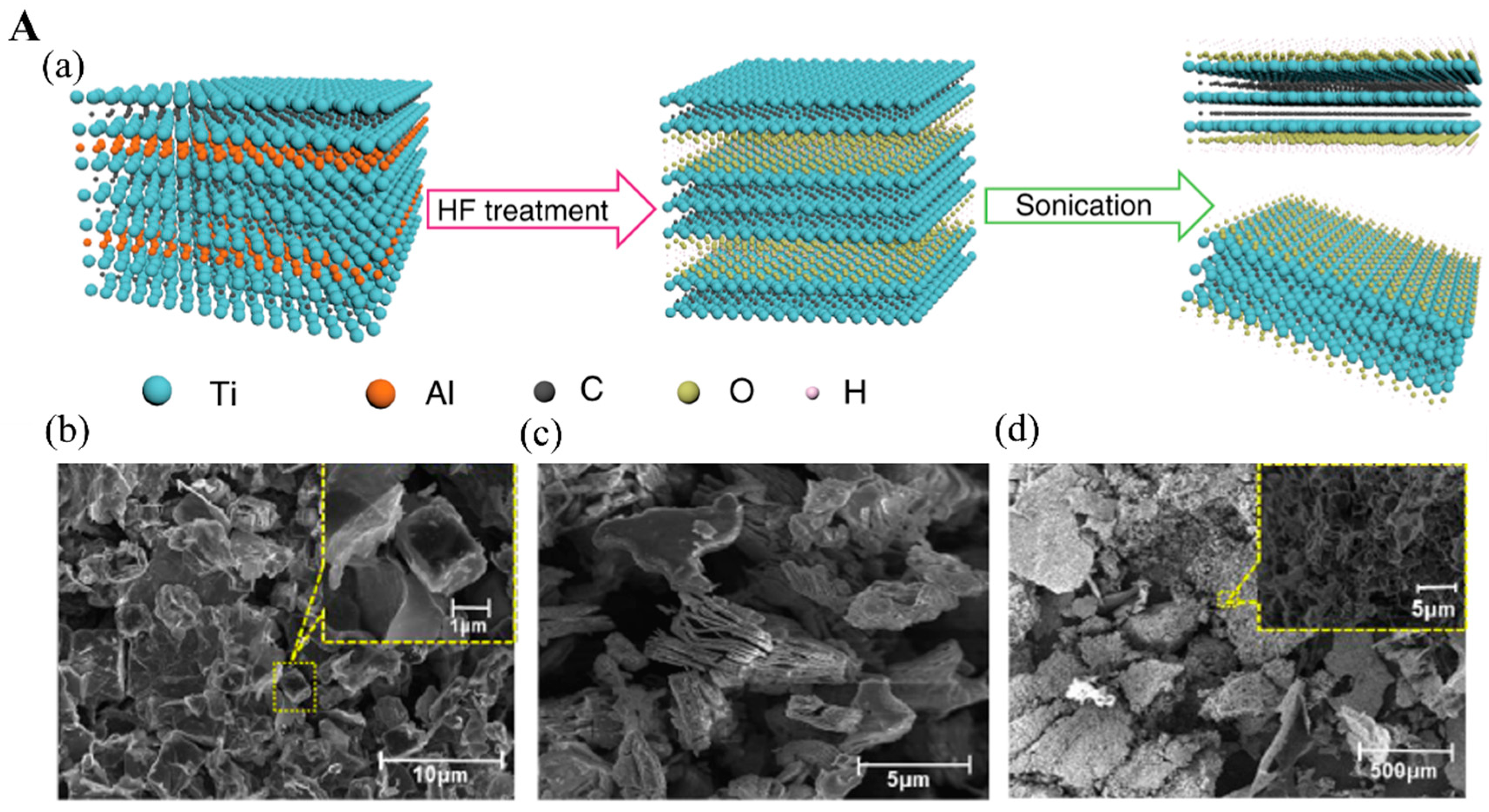 Biosensors 12 00982 g002a