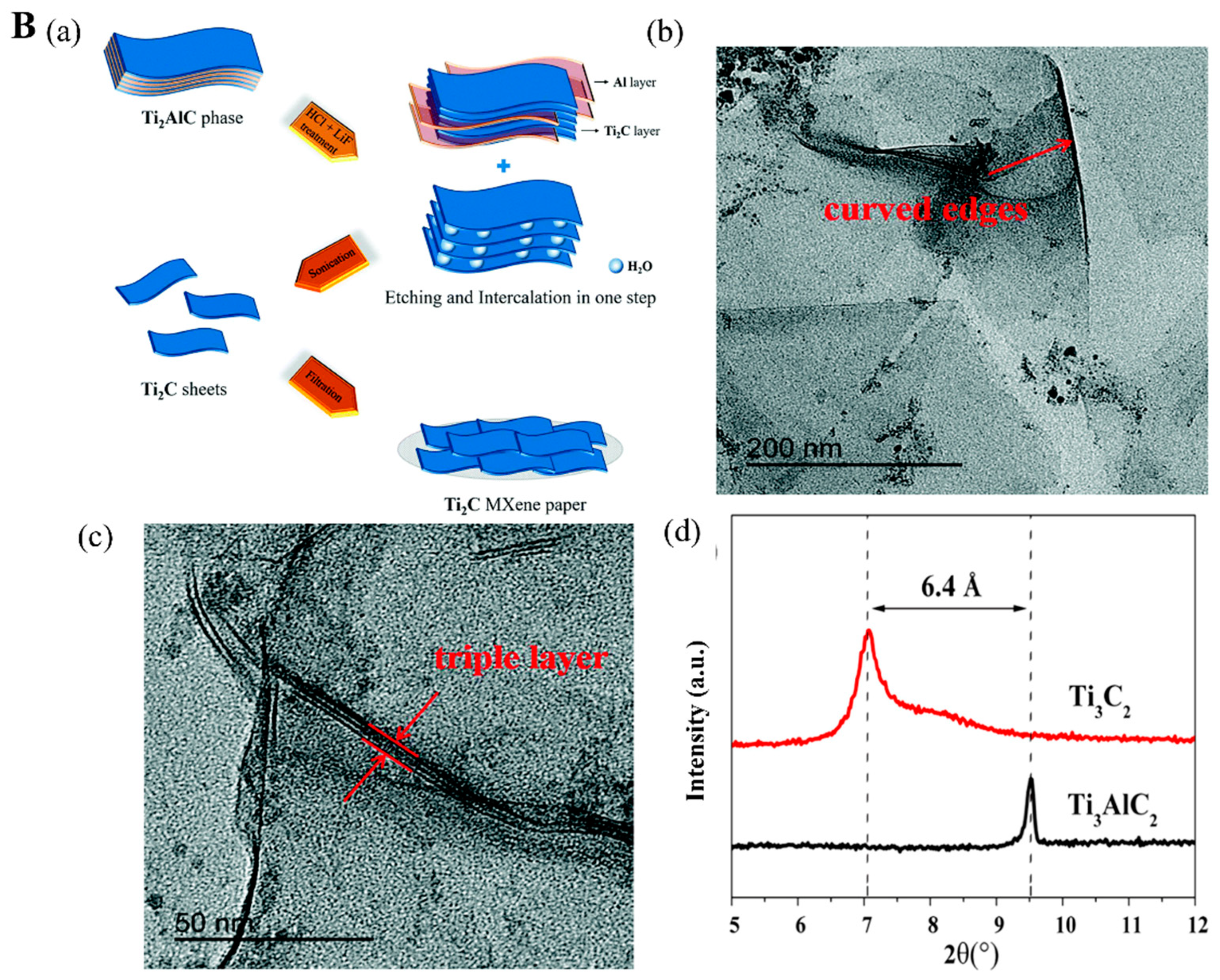 Biosensors 12 00982 g002b