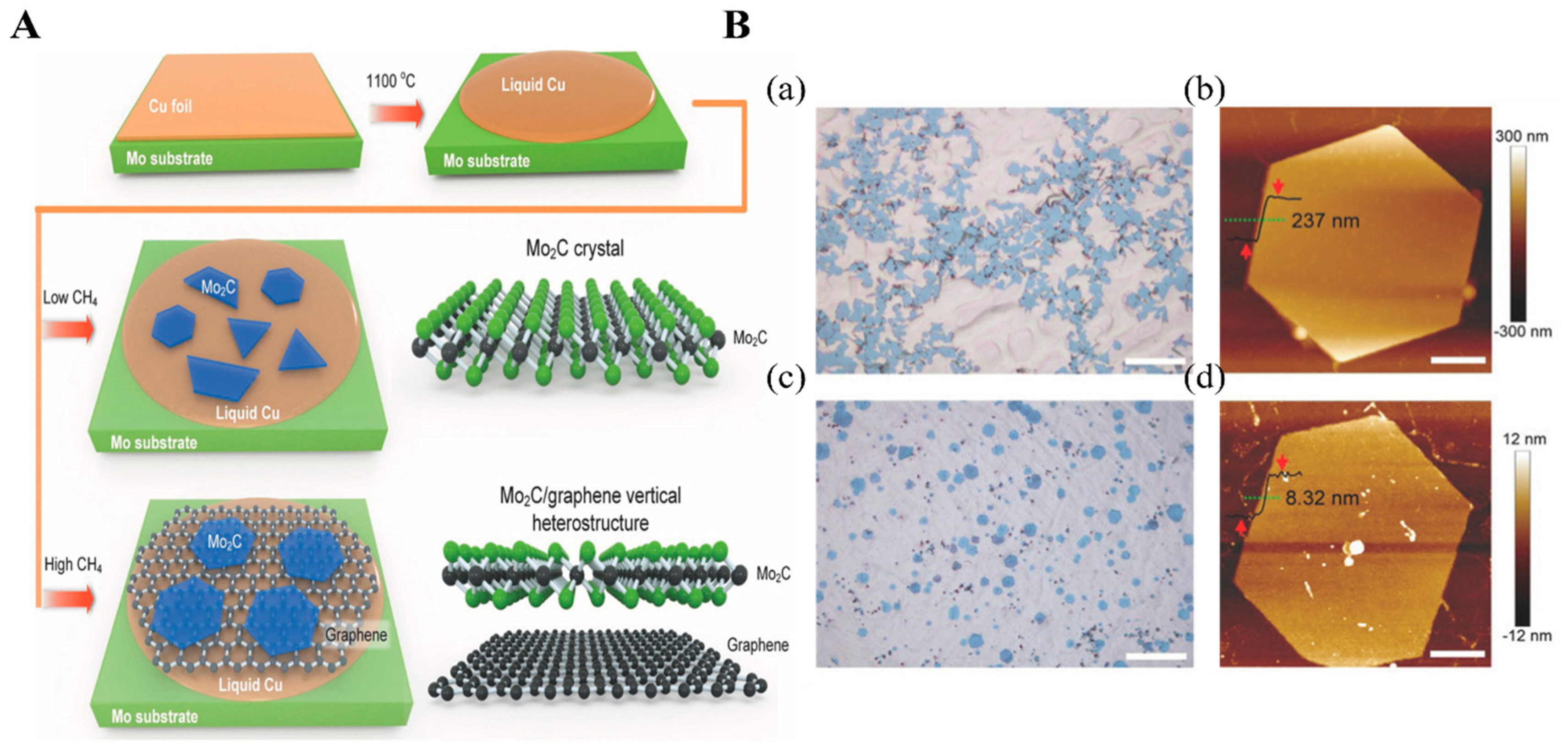 Biosensors 12 00982 g003