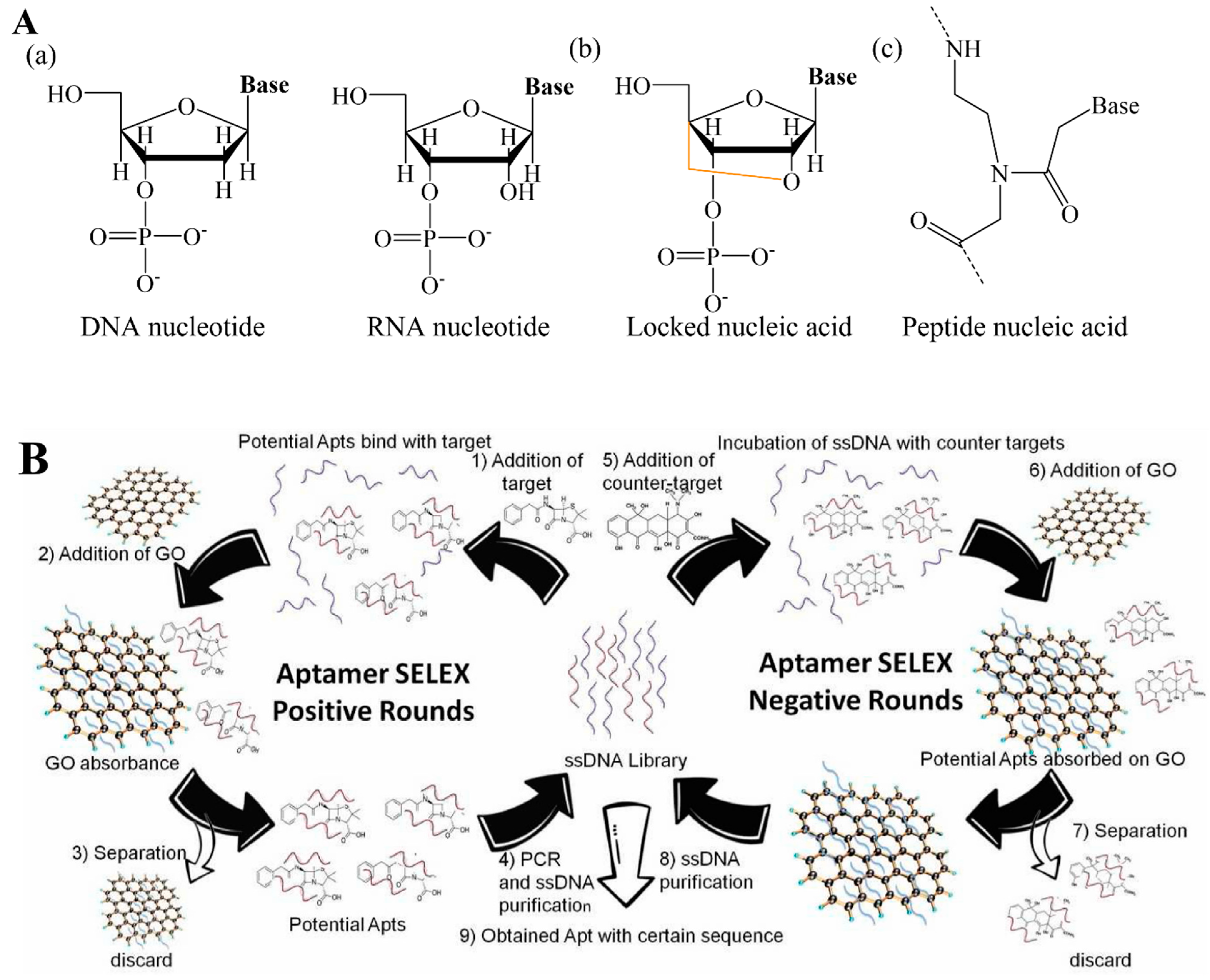 Biosensors 12 00982 g004