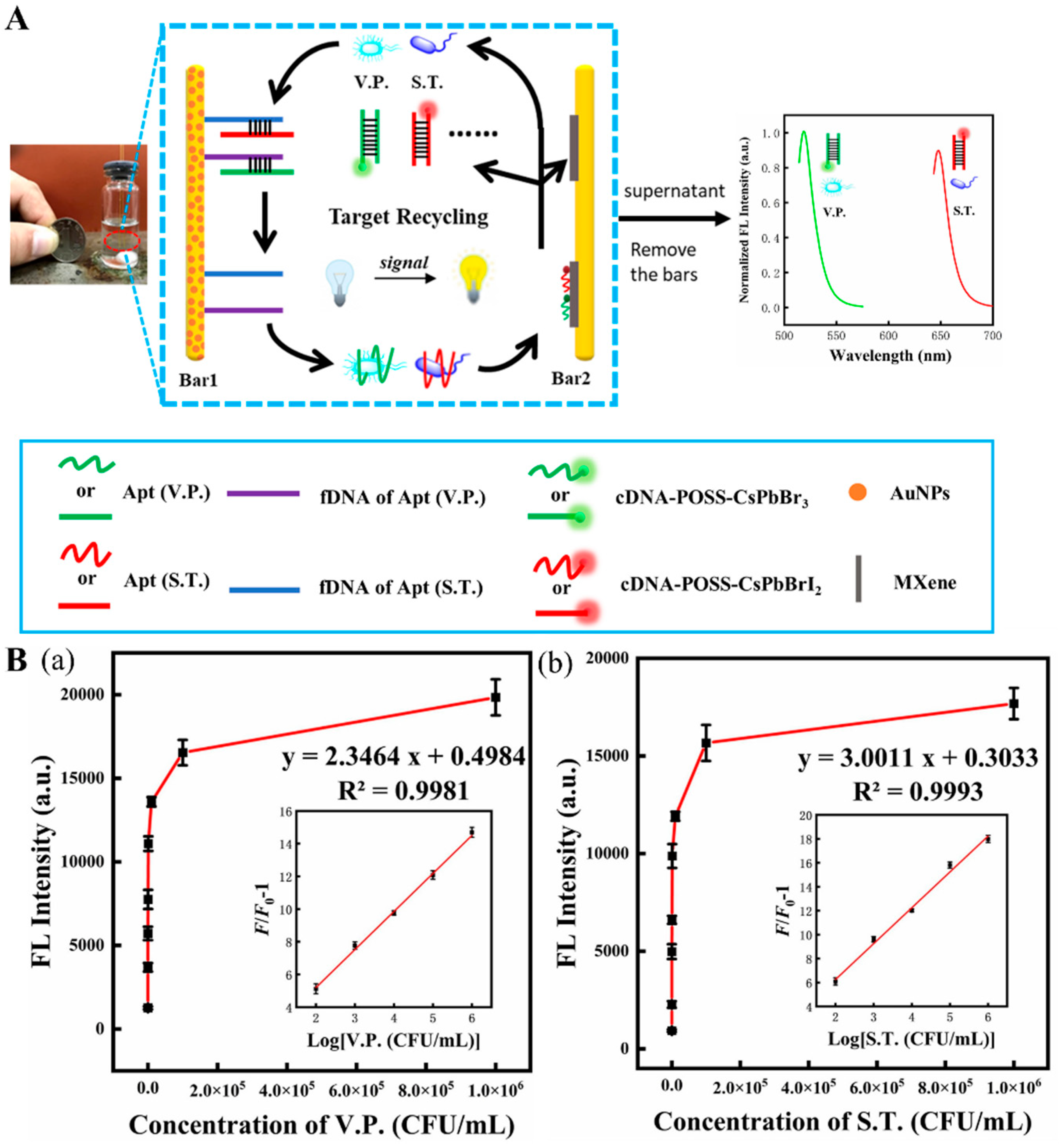Biosensors 12 00982 g006