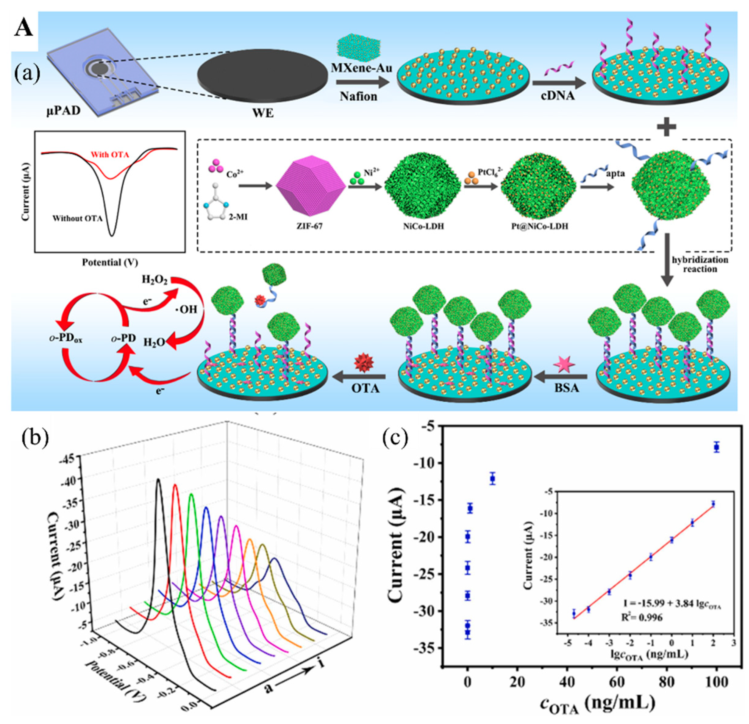 Biosensors 12 00982 g007a