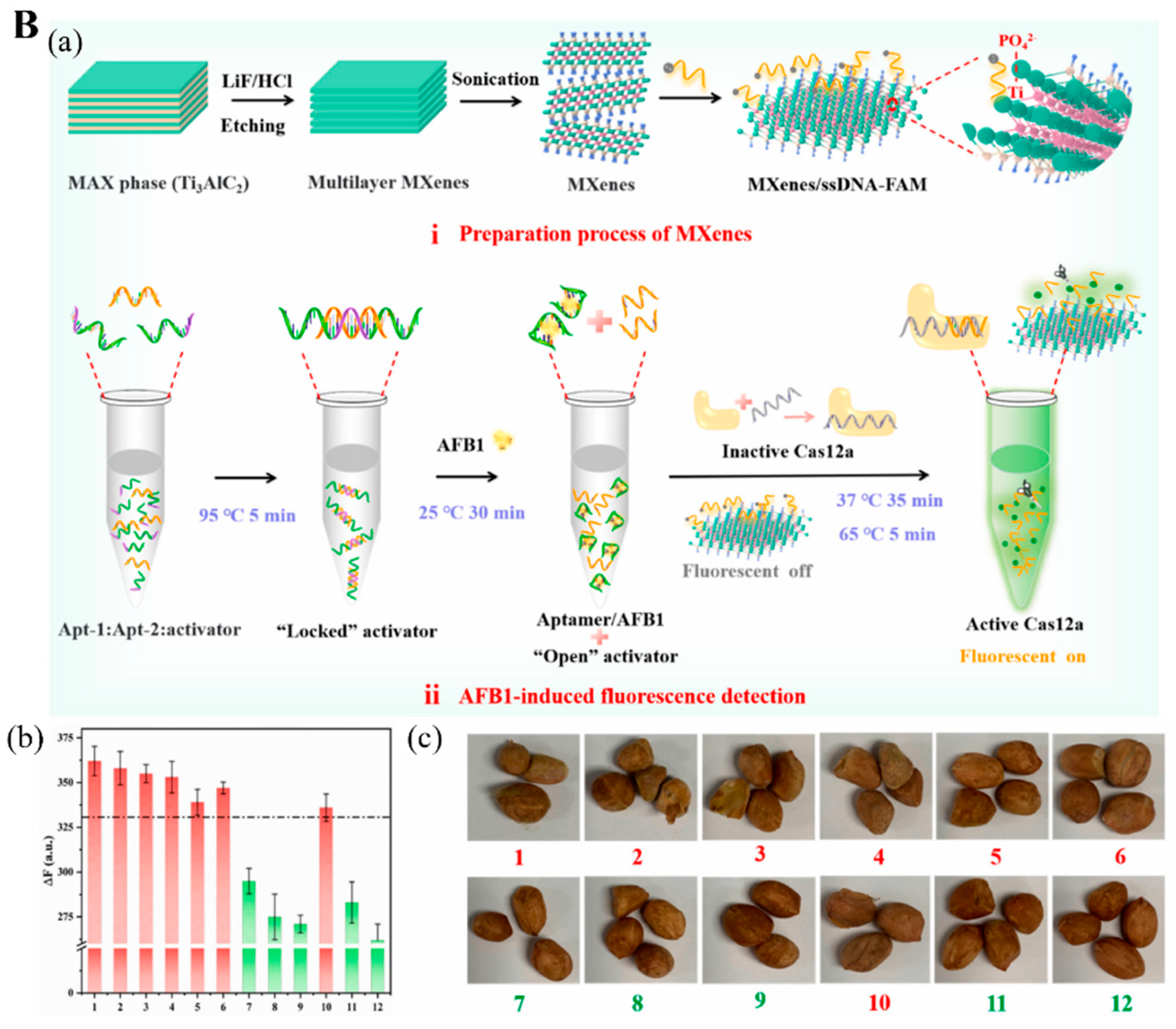 Biosensors 12 00982 g007b