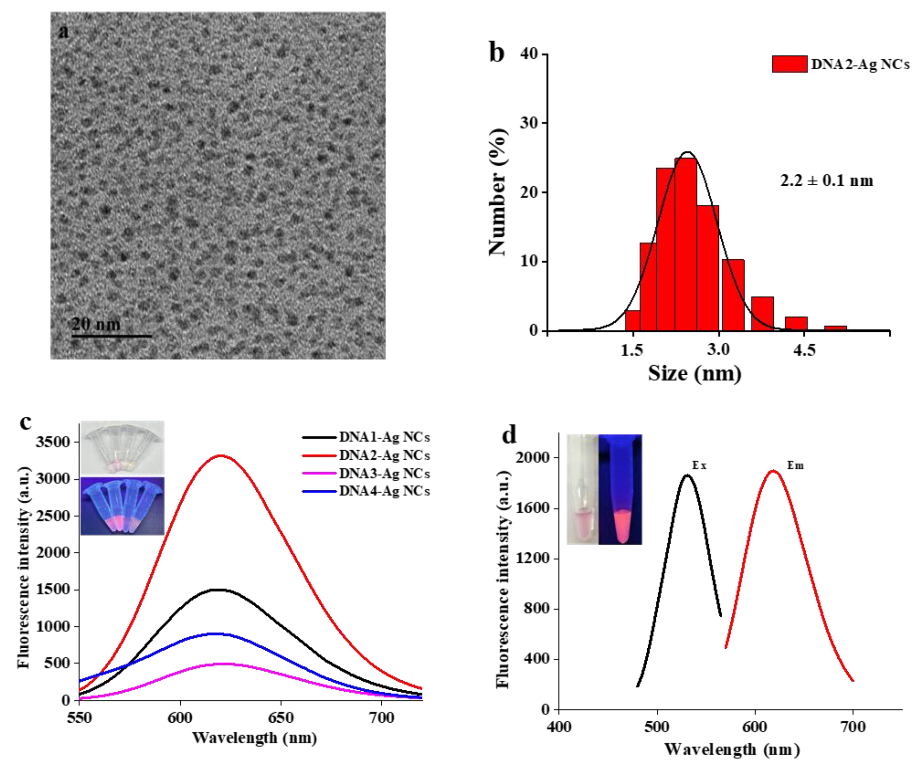 Biosensors 13 00520 g002