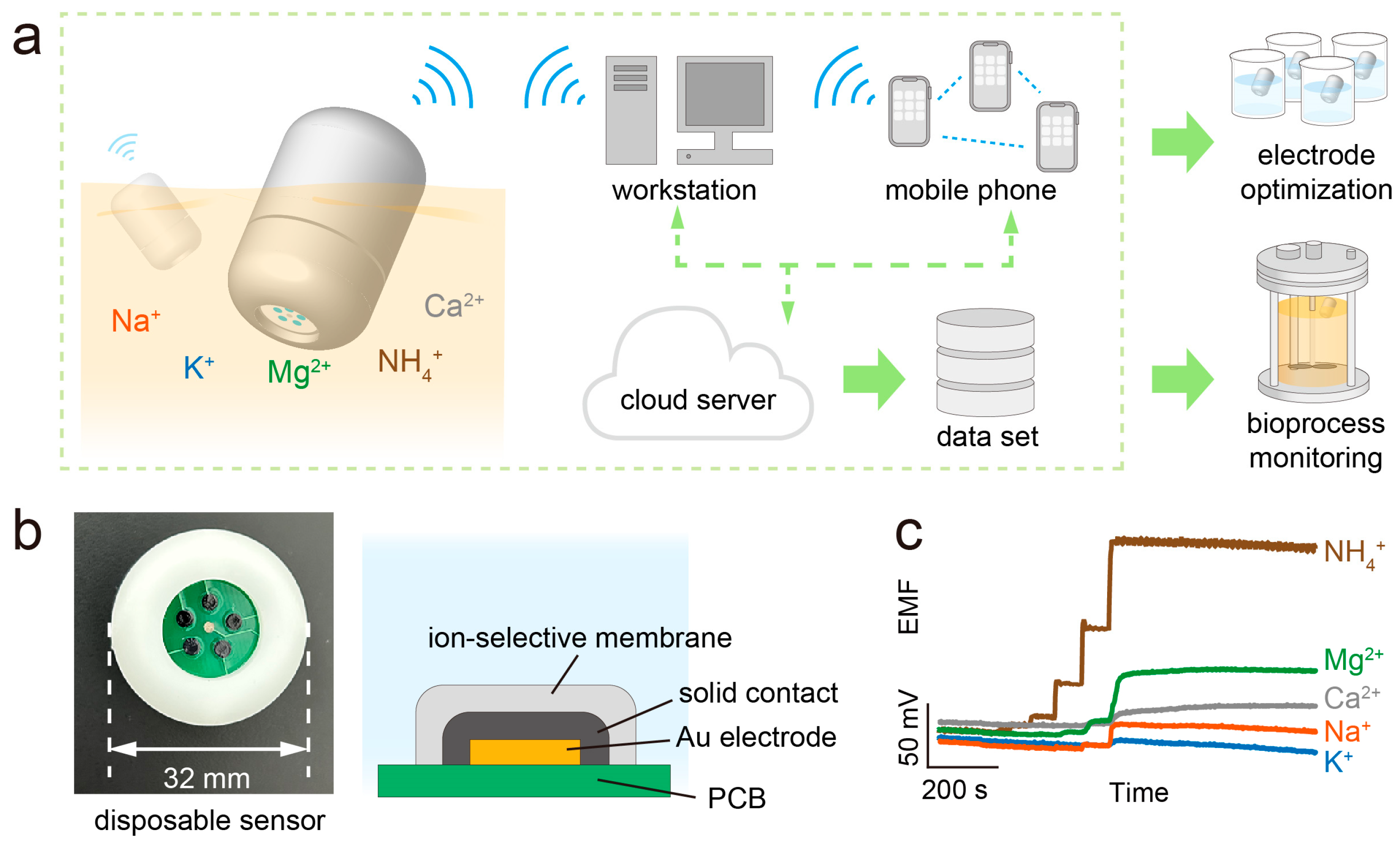 Biosensors 13 00914 g001