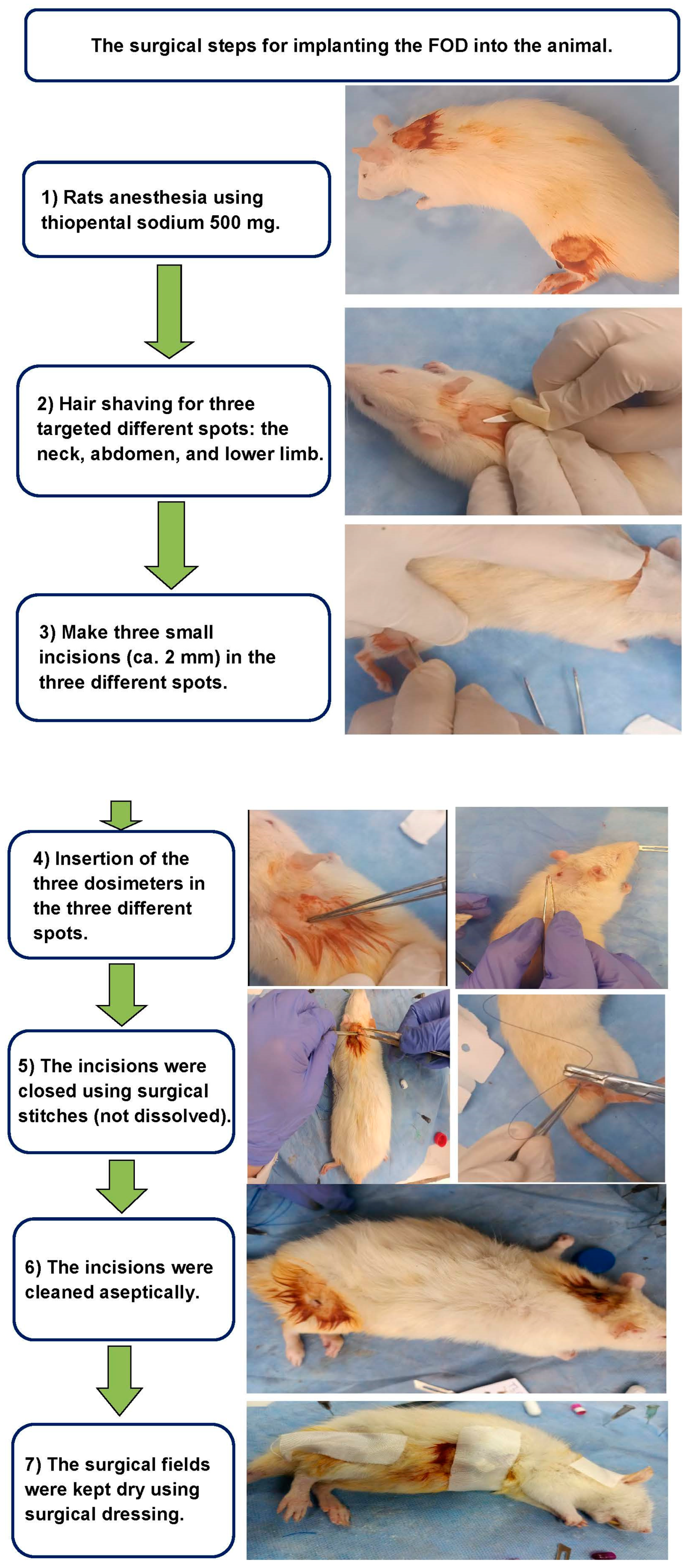 Biosensors 13 01010 g008