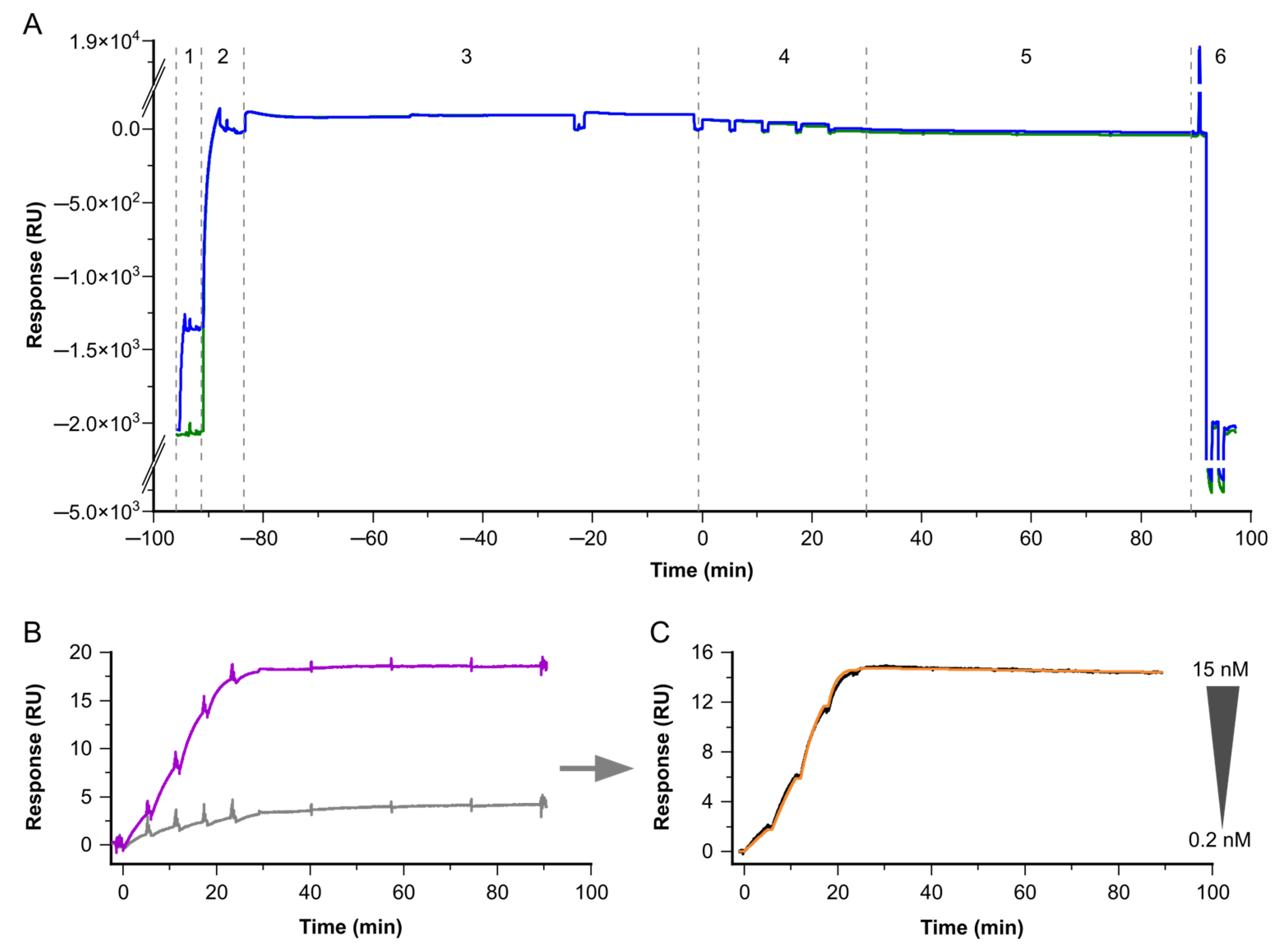 Biosensors 13 01030 g003