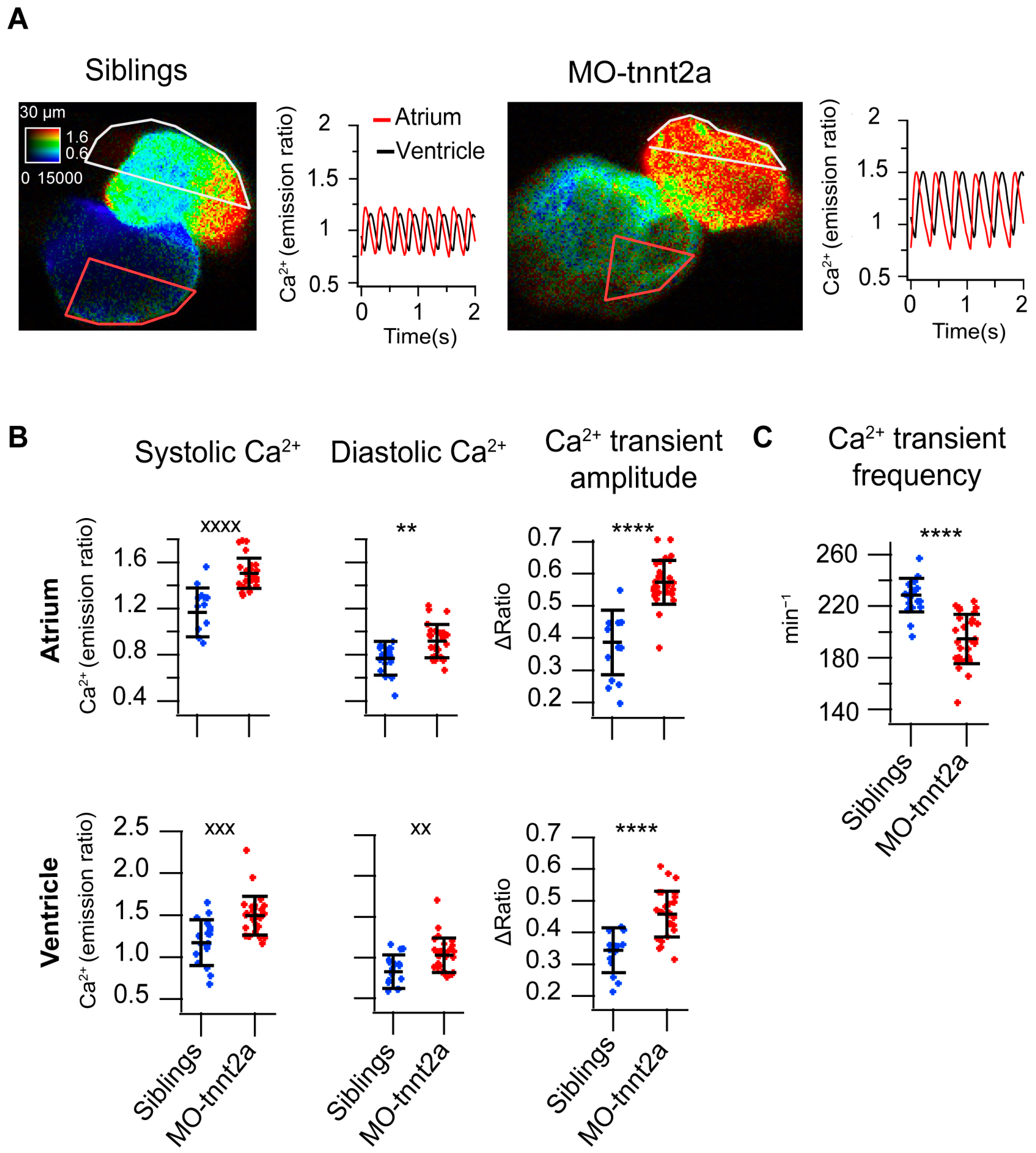 Biosensors 14 00219 g003