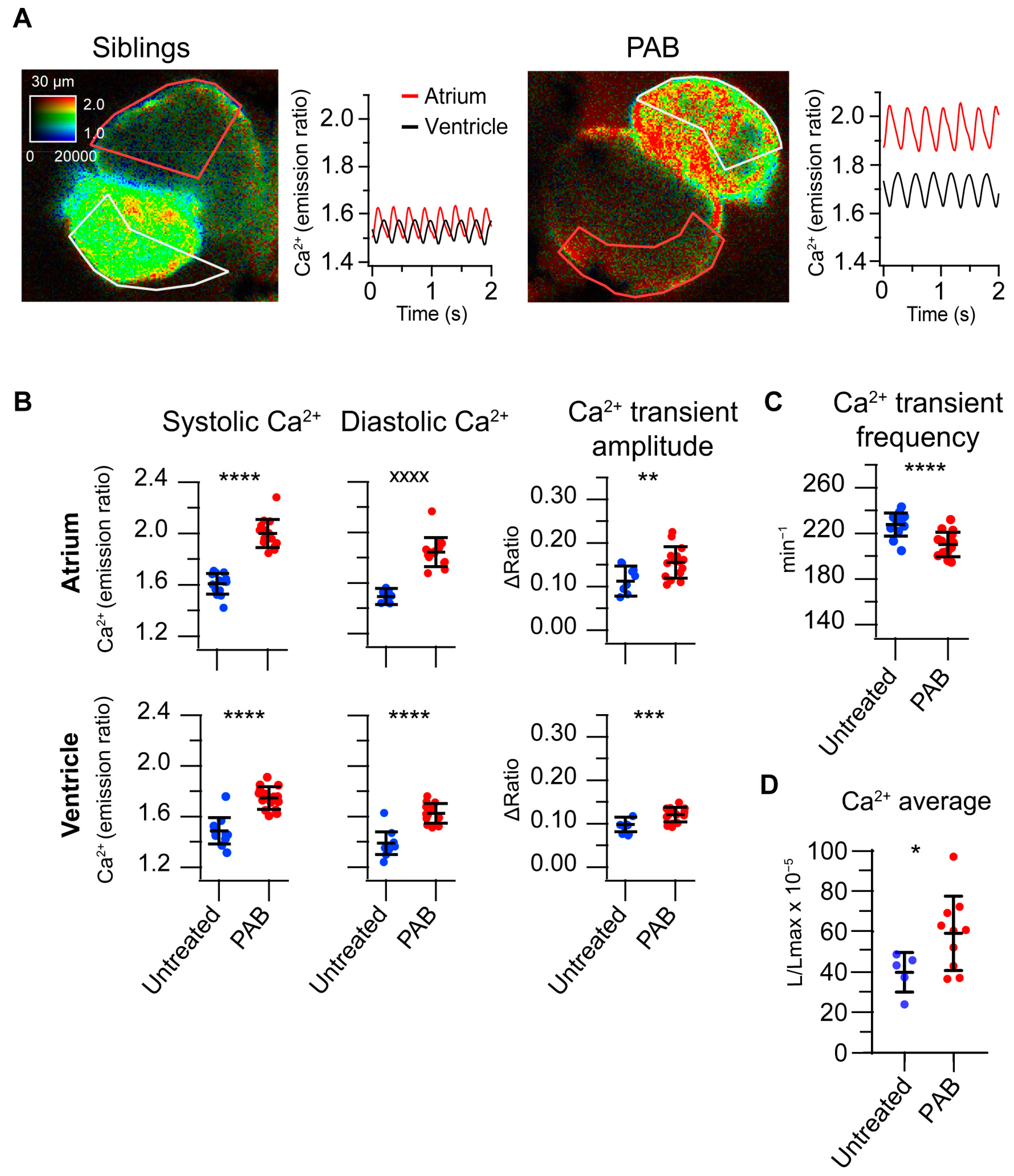Biosensors 14 00219 g004