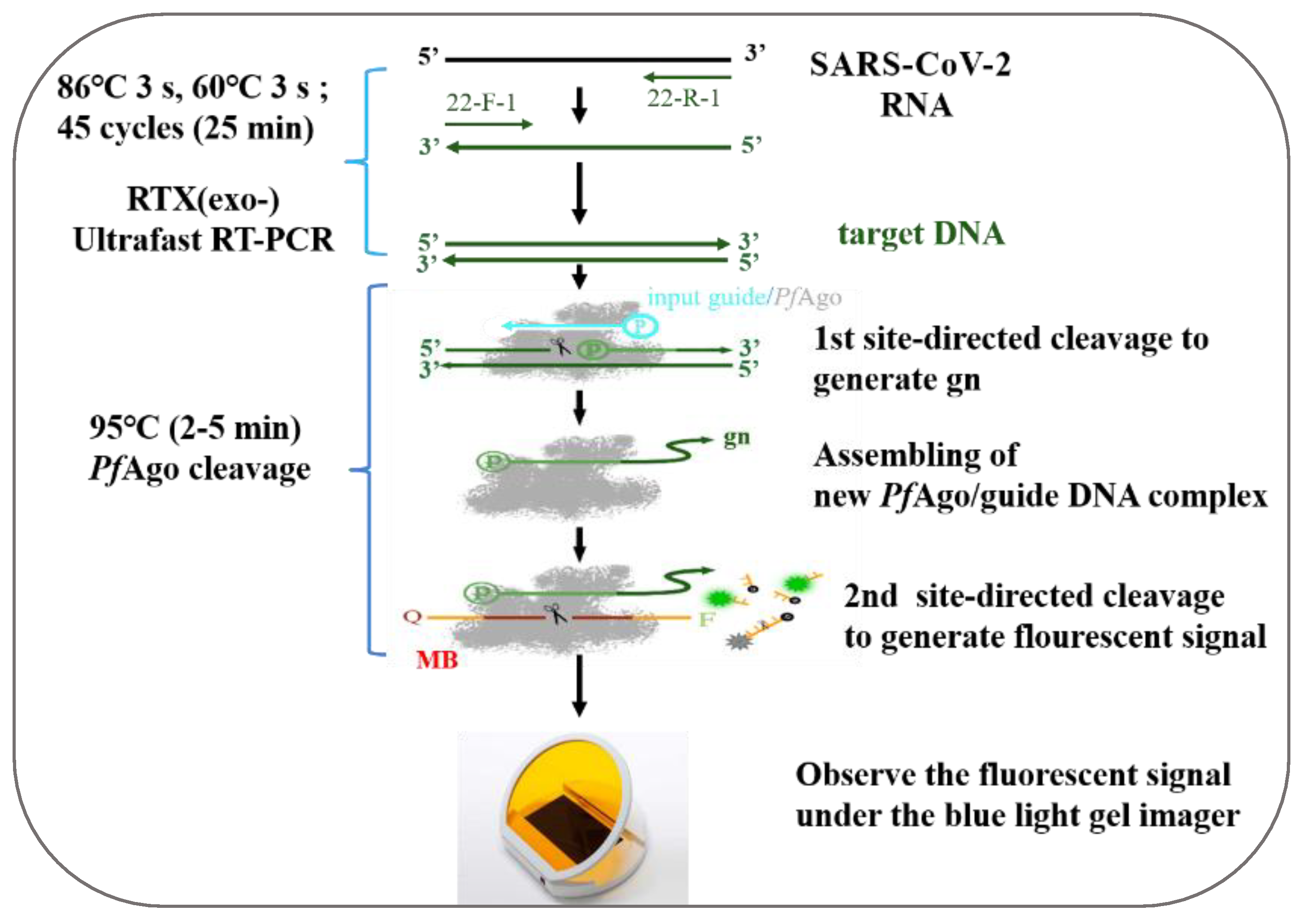 Biosensors 14 00245 g001