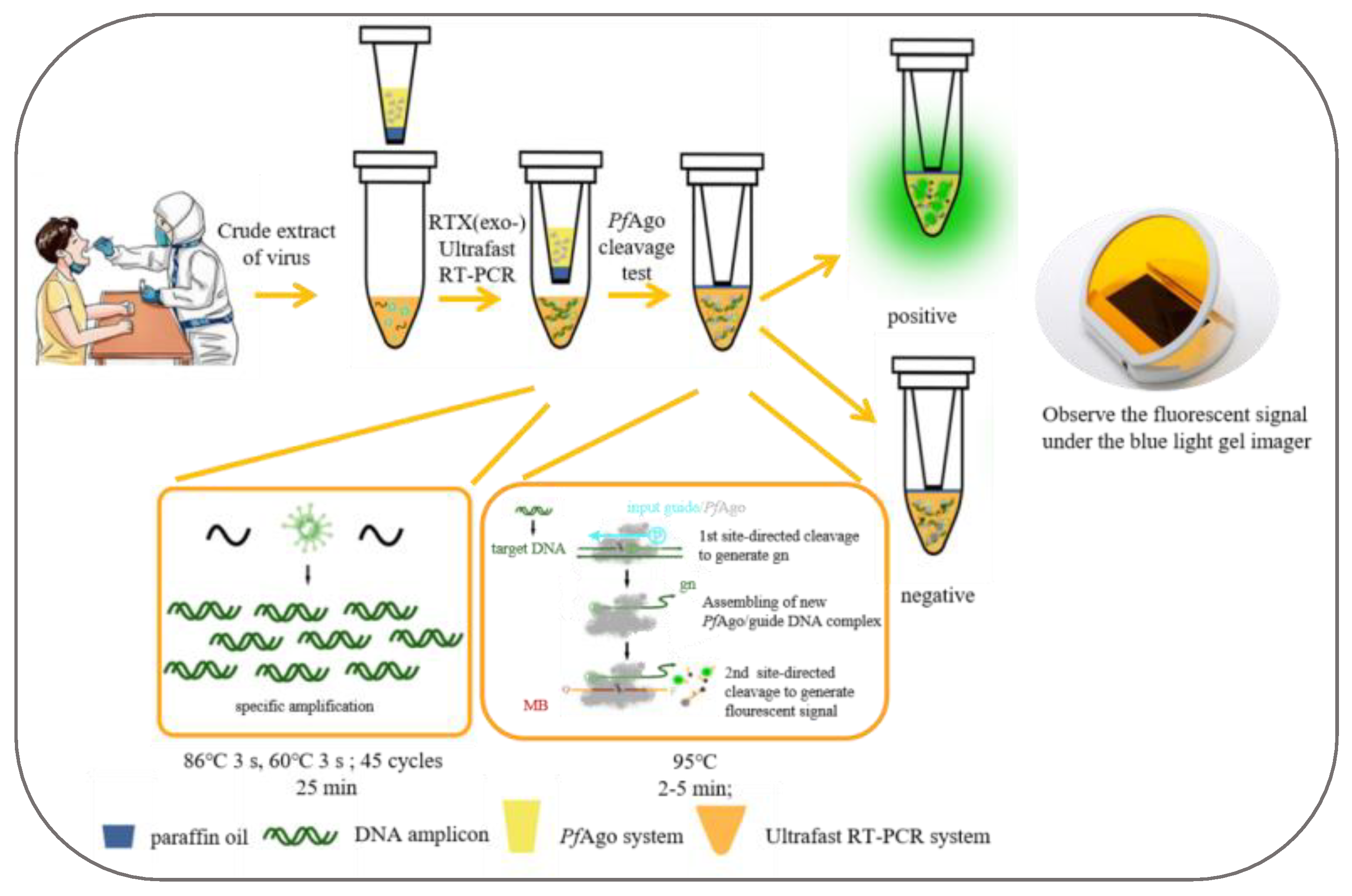 Biosensors 14 00245 g002