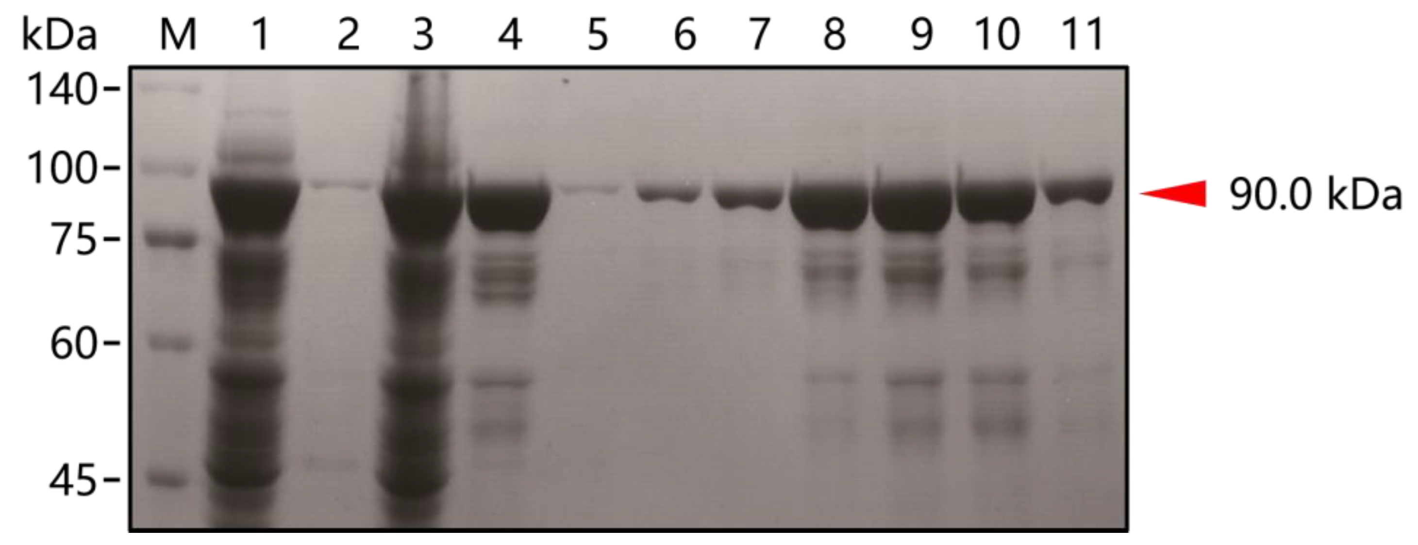 Biosensors 14 00245 g003