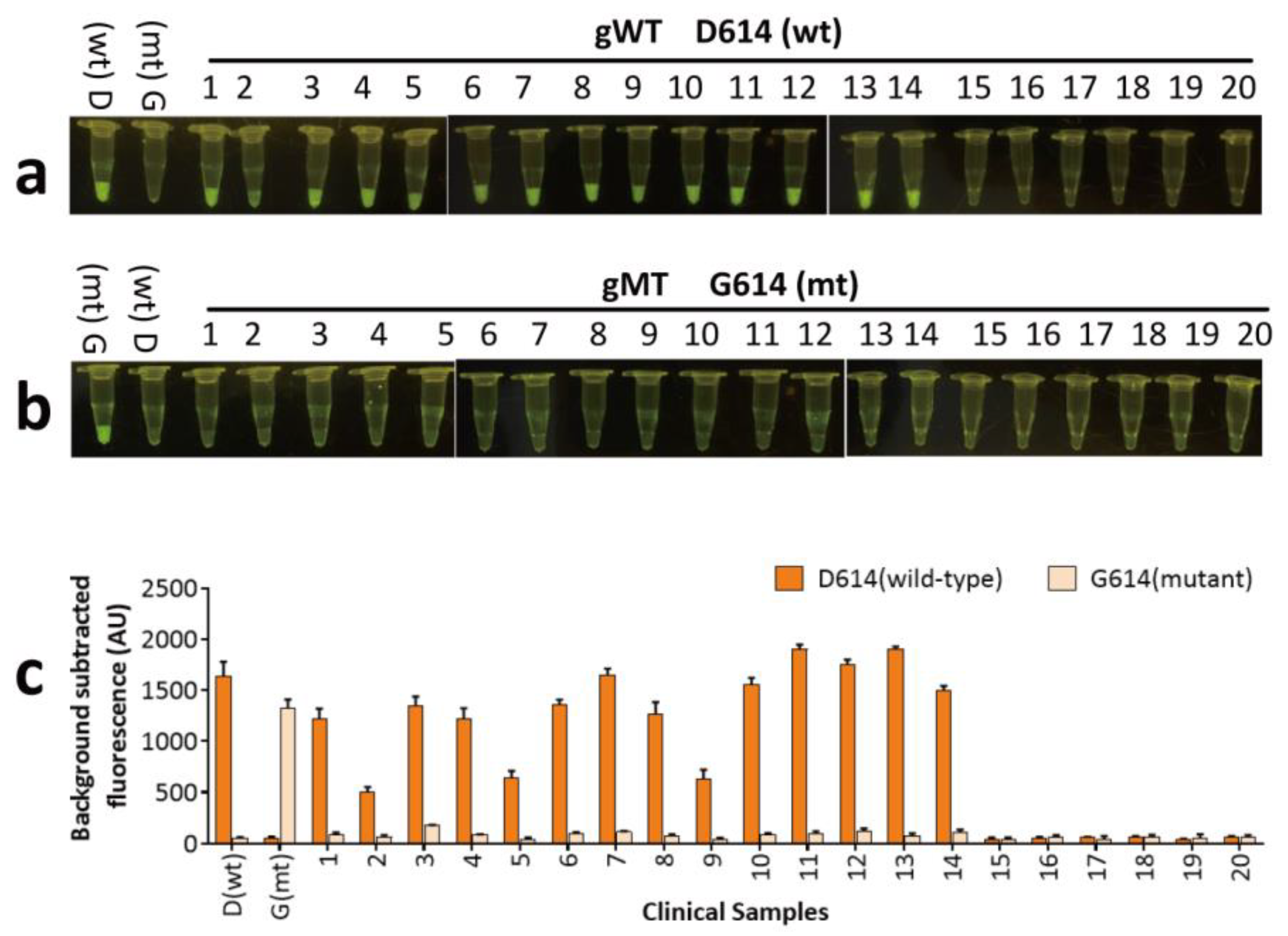 Biosensors 14 00245 g009
