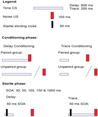 Brainsci 02 00061 g003 200