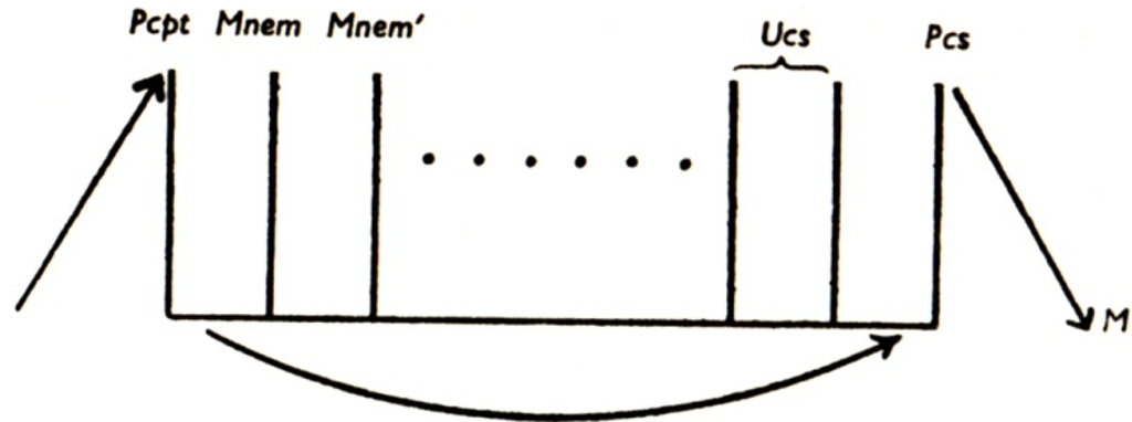 Brainsci 02 00147 g002 1024