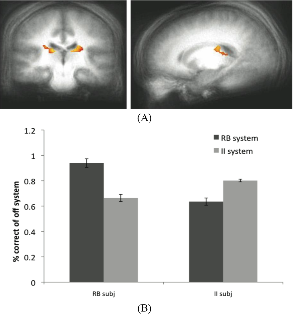Brainsci 02 00176 g006 1024
