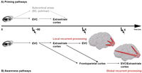 Brainsci 02 00225 g002 200