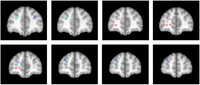 Brainsci 02 00254 g002 200