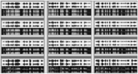 Brainsci 02 00267 g001 200