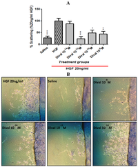 Brainsci 02 00298 g006 200