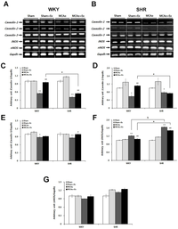 Brainsci 02 00483 g004 200