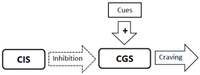 Brainsci 02 00523 g001 200