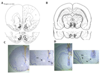 Brainsci 02 00573 g001 200
