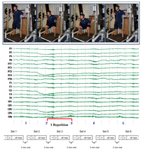 Brainsci 02 00649 g004 200