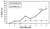 Brainsci 02 00667 g002 200