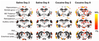 Brainsci 02 00667 g004 200