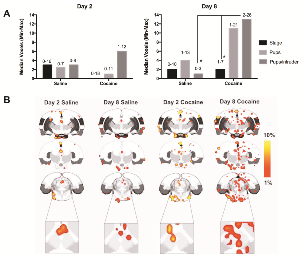 Brainsci 02 00667 g005 1024