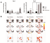 Brainsci 02 00667 g005 200