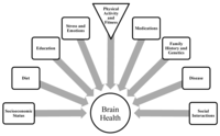 Brainsci 02 00684 g002 200
