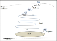Brainsci 02 00745 g001 200