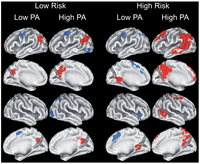 Brainsci 03 00054 g001 200