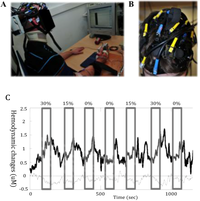 Brainsci 03 00101 g002 200