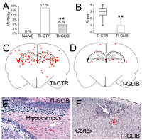Brainsci 03 00215 g005 200