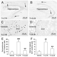Brainsci 03 00215 g006 200