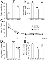 Brainsci 03 00215 g007 200
