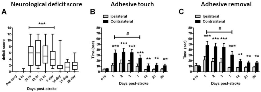 Brainsci 03 00294 g001 1024